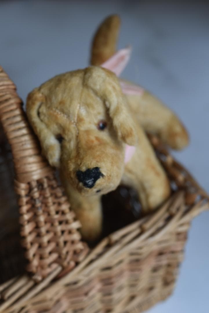 ピンクのリボン　1930年　可愛い小さな犬のぬいぐるみ　藁　フランスアンティーク