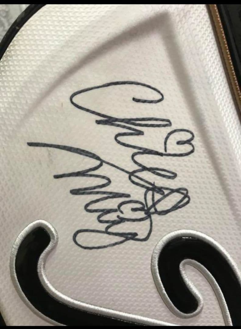 ☆希少・限定☆プロV1記念モデル☆　タイトリスト　キャディバッグ　 CB5V1