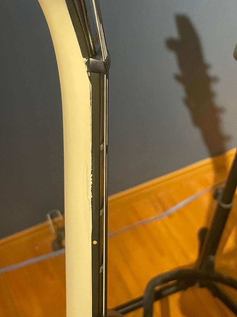 Aria Pro II TA-55　セミアコ？フルアコ？　希少動作品【1月限定】