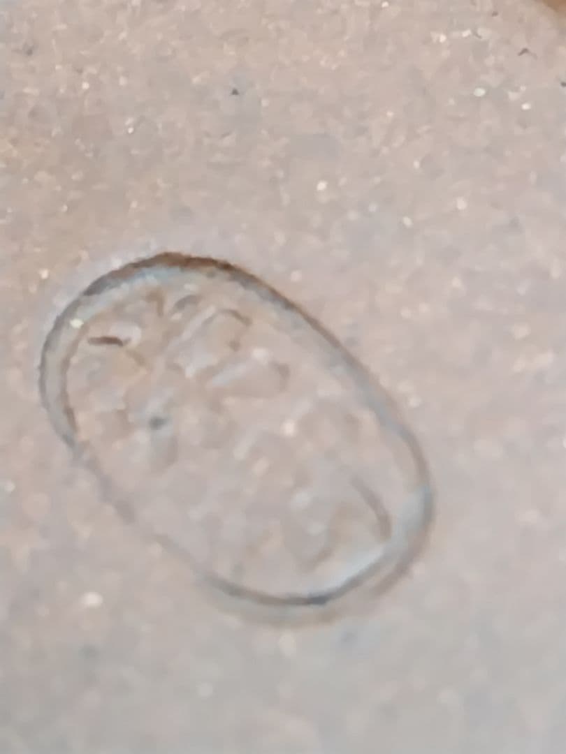 中国茶器 紫砂 宜興市紫砂 骨董