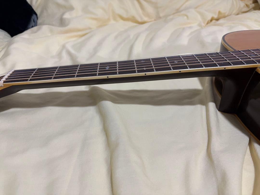 Moon Light MK-IV ナカイ楽器 Martin D-18モデル