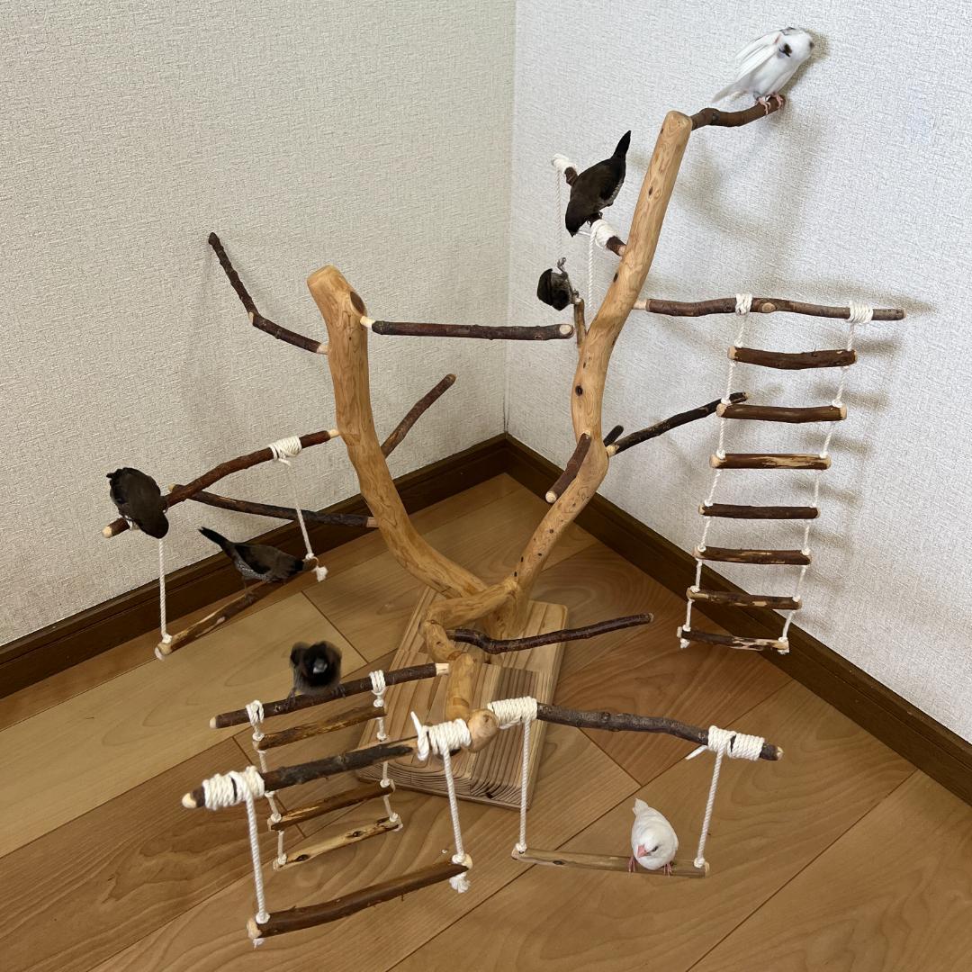 【小鳥用】あちこちブランコ&はしご付♬バードジム