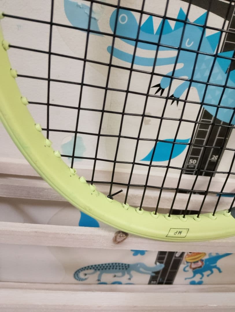 head　エクストリー厶　100インチ　グリップ2