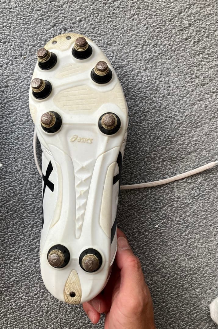 アシックスDS LIGHT GAIN ST WIDE 25cm