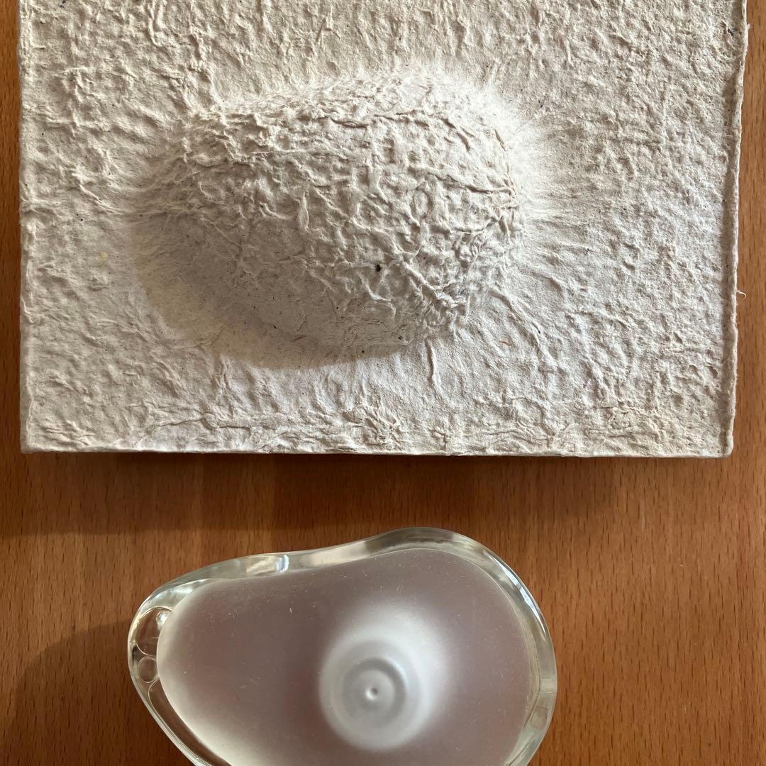 タン・ジュディチェリ　アンナム　オードパルファン50ml(フランス製)