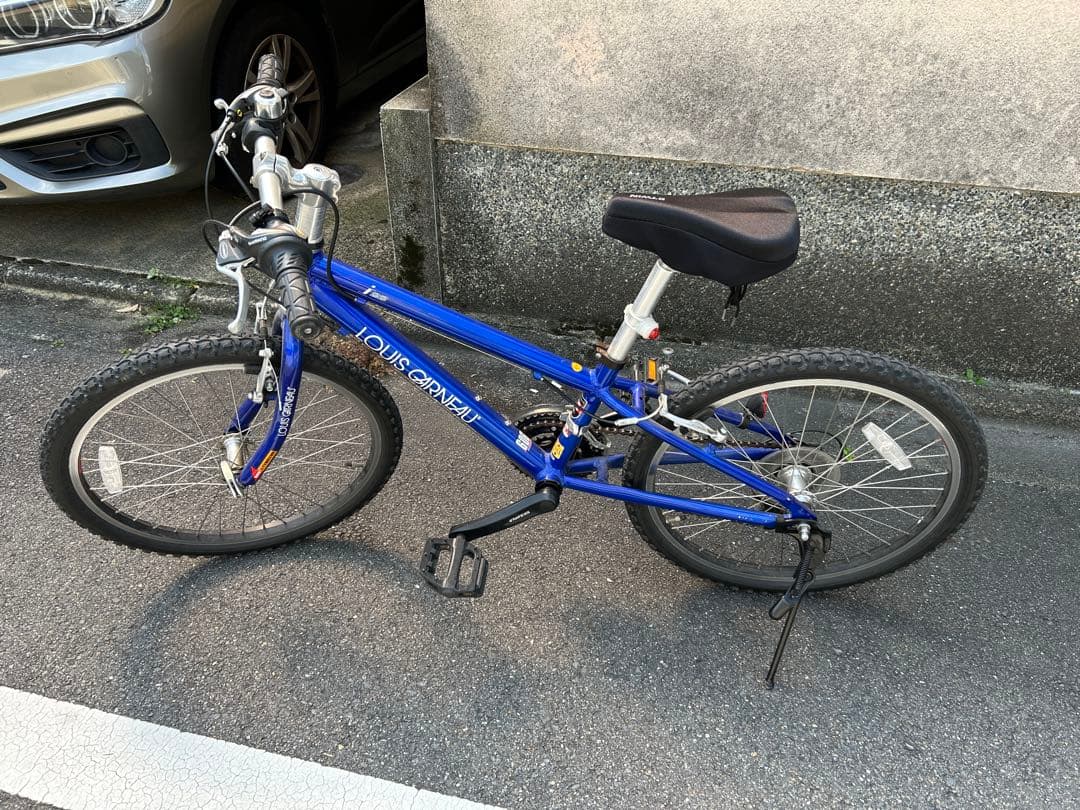 ⭐️セール本日限定　LOUIS GARNEAU LGS-J22キッズ22インチ