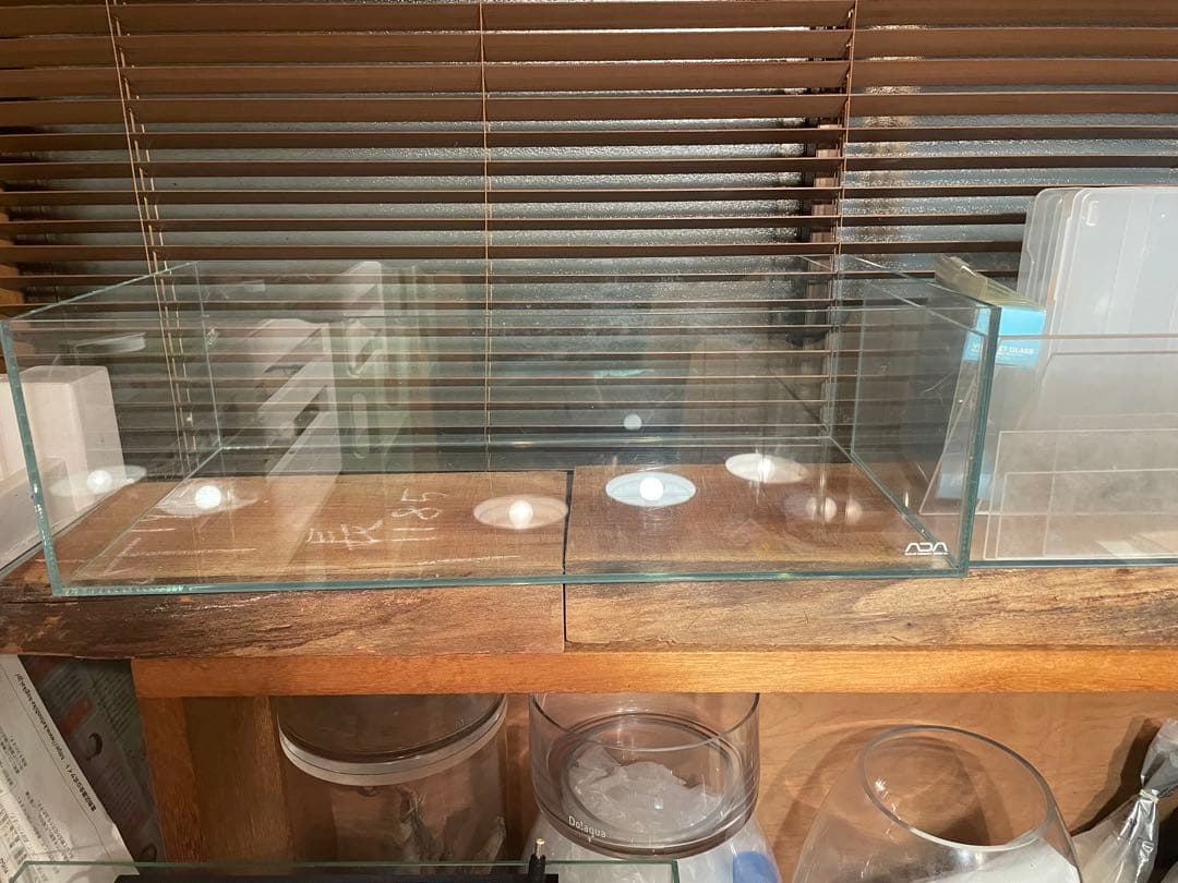 ADA 旧タイプの60センチlow水槽