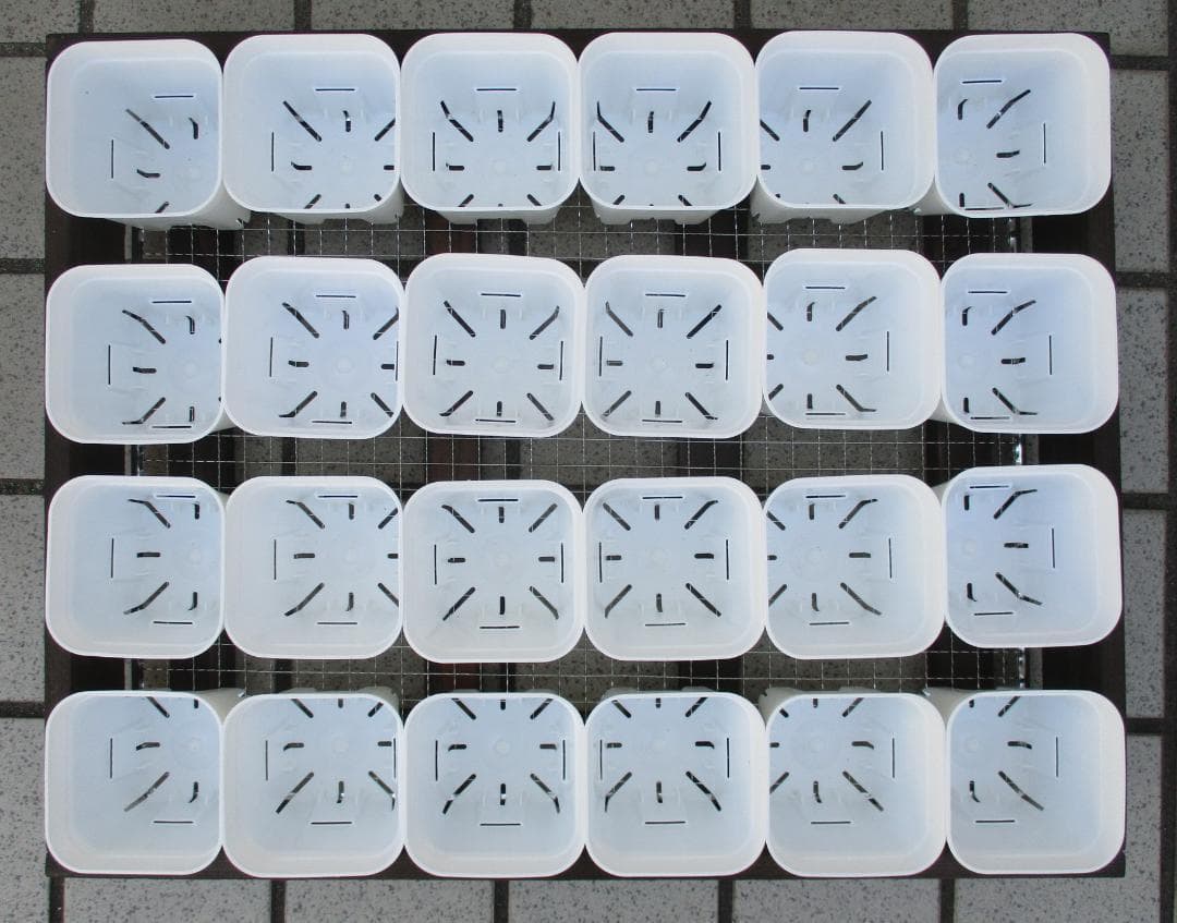 ５段トレー　多肉棚　プランター　スタンド　多肉植物棚　ラック　韓国苗　アガベ