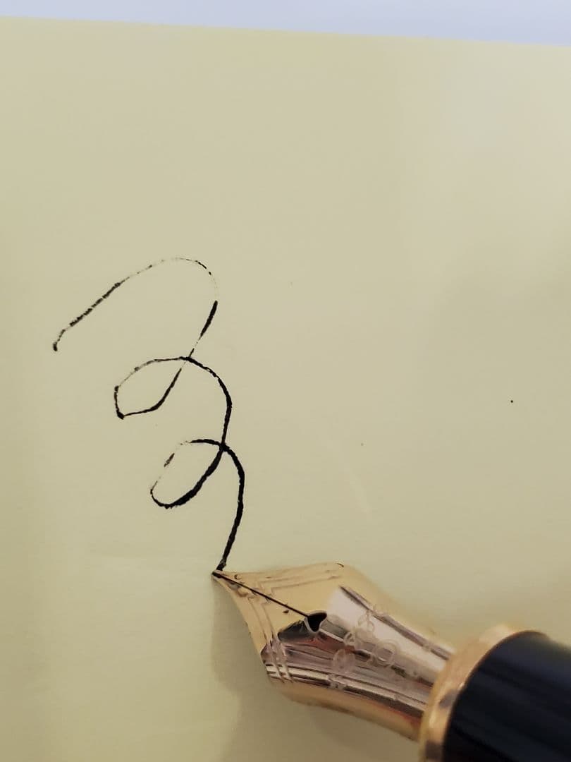 プラチナ万年筆 #3776 14K〈中〉