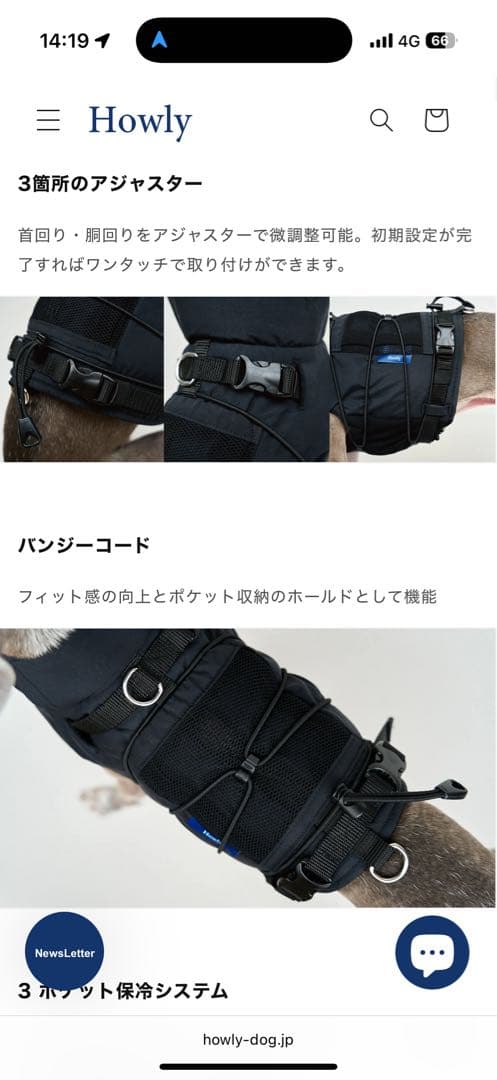 【Mサイズ白】 試着のみHowly FRAME-X ADV HARNESS