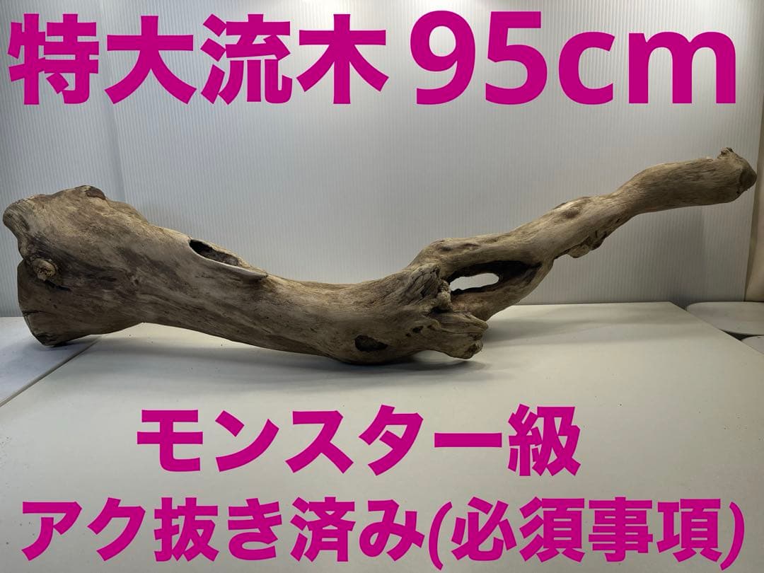 R64特大流木 アク抜き済み流木 爬虫類シェルター 登り木 インテリア 生け花