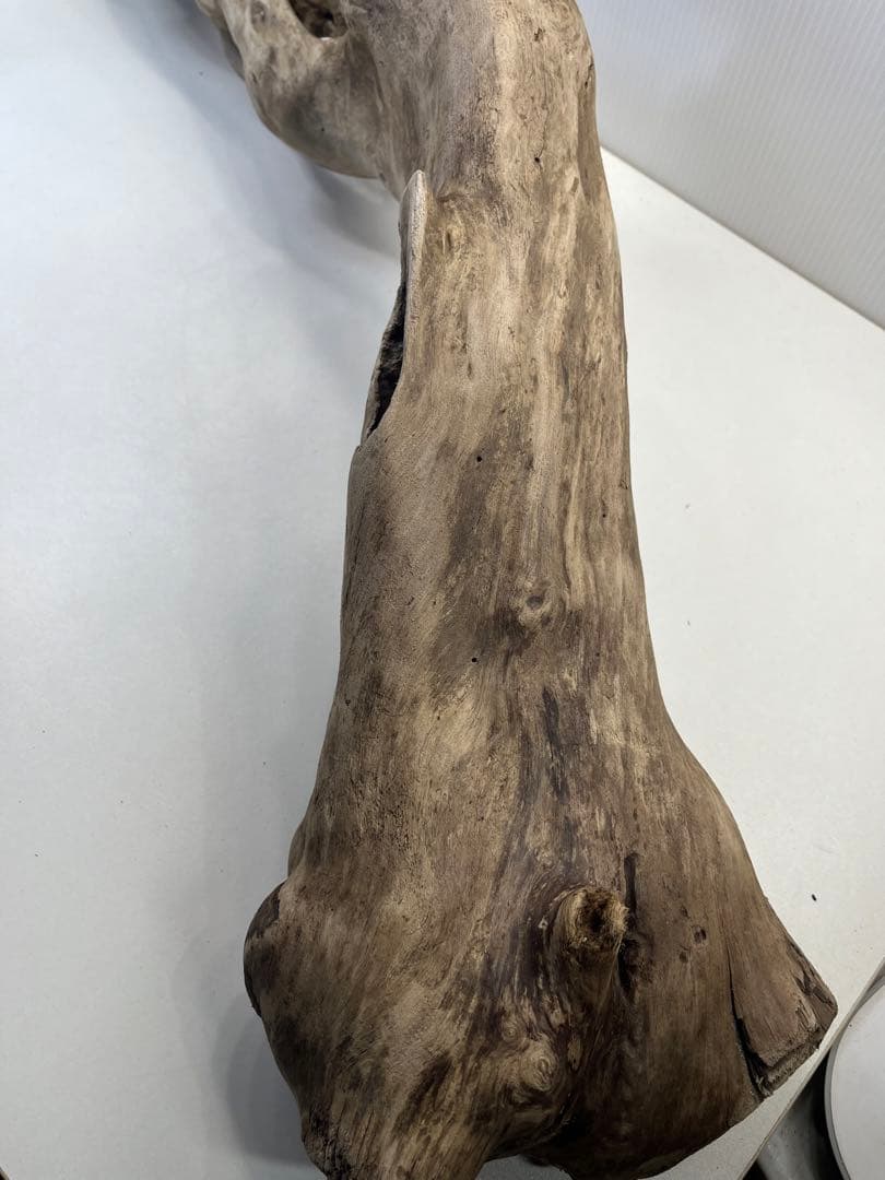 R64特大流木 アク抜き済み流木 爬虫類シェルター 登り木 インテリア 生け花