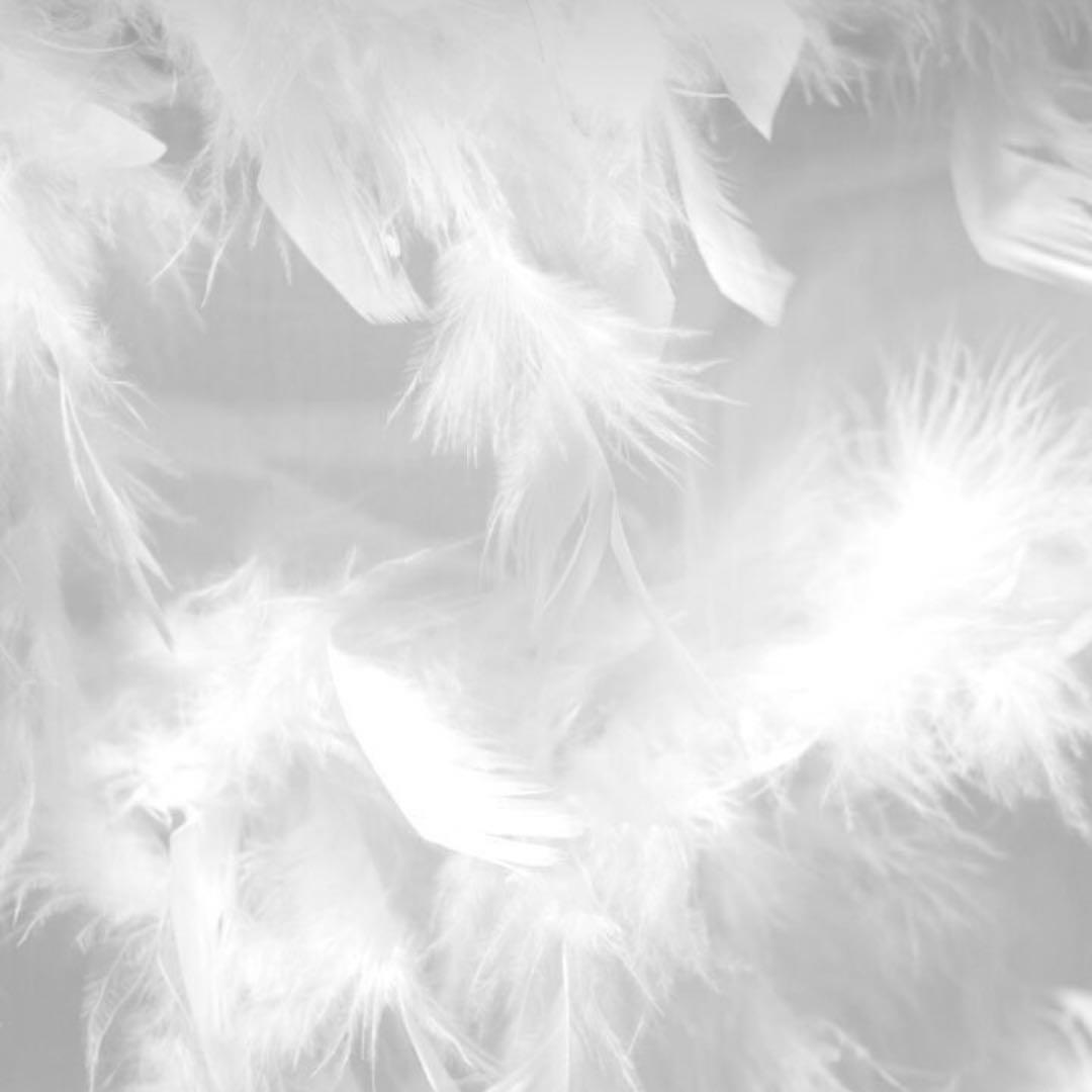 お受け取りまでのご確認用ページ