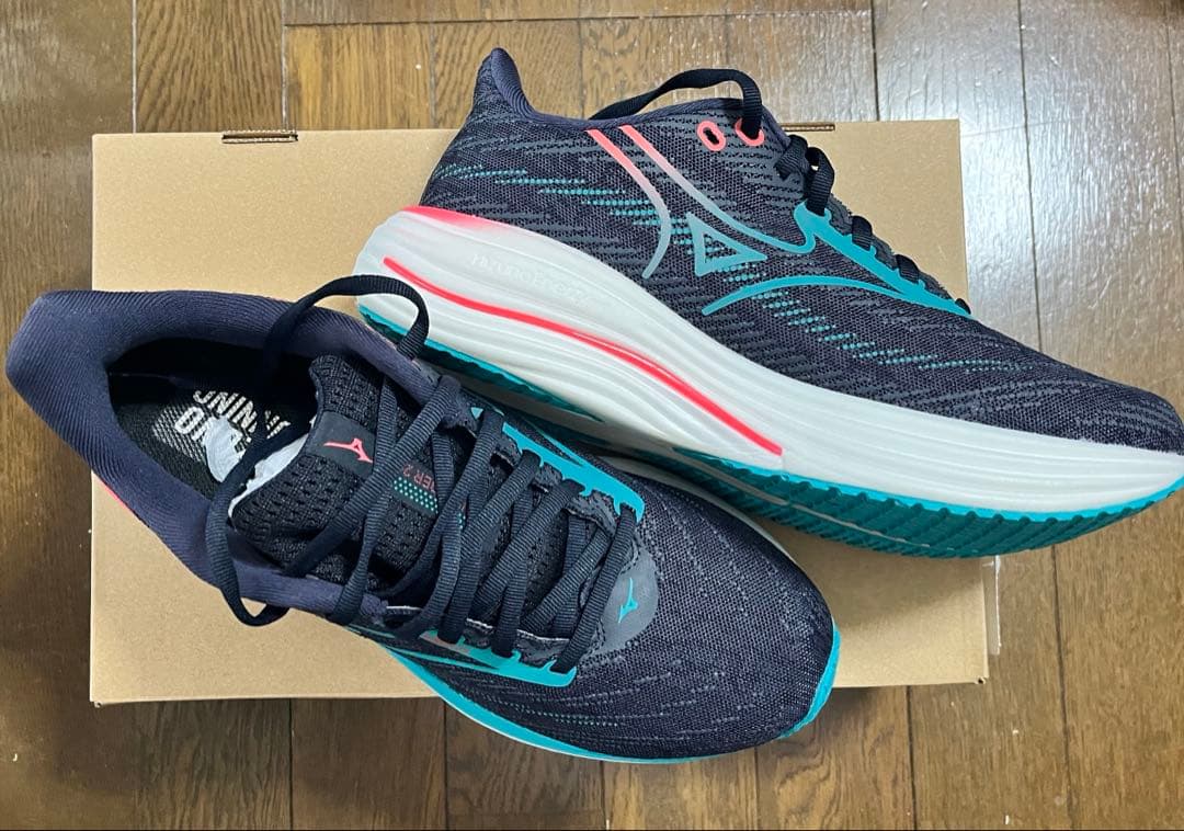 ウエーブライダー29（ミズノ　ランニングシューズ）