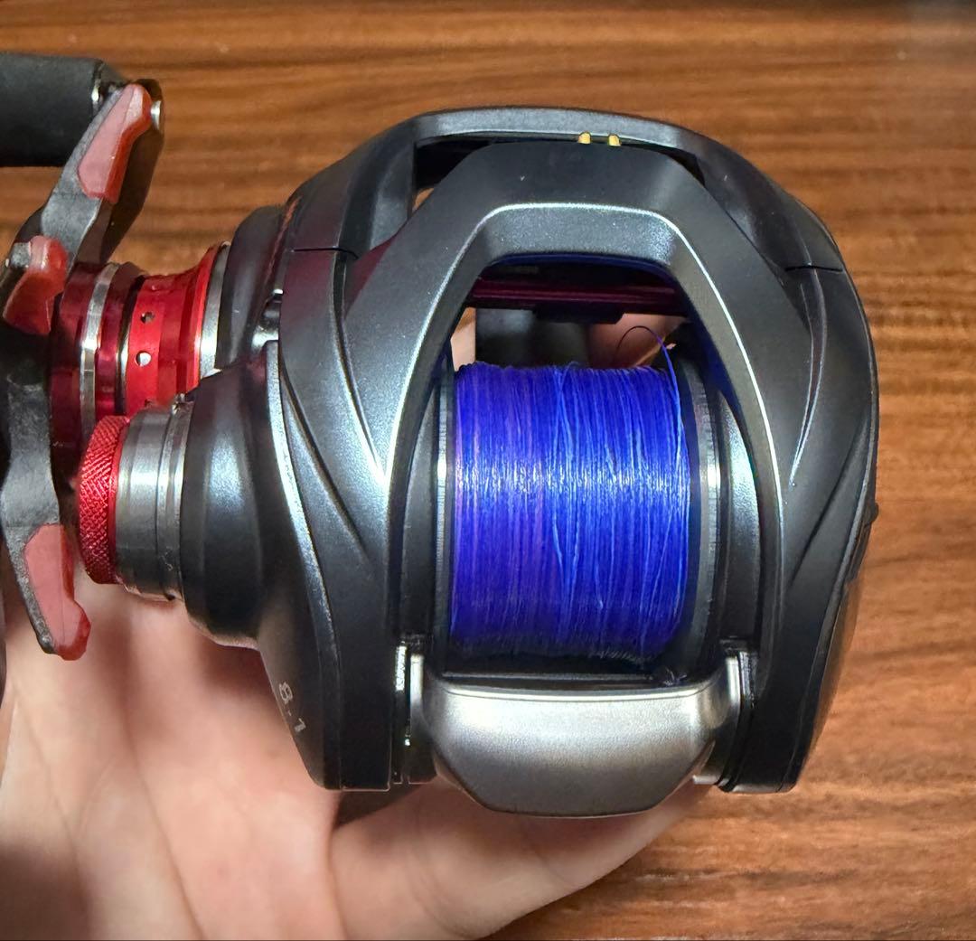 ダイワ 17スティーズA TW 1016XHL