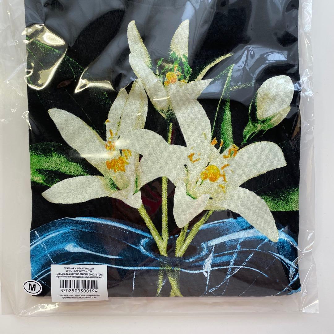 TENBLANK Tシャツ　セントマイケルコラボ 佐藤健 テンブランク Mサイズ
