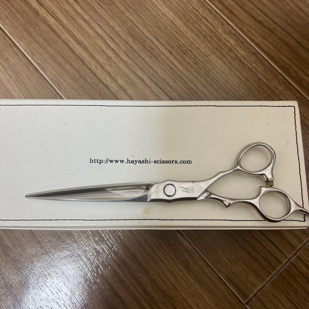 最終値下げ　ハヤシシザーSWELL 7インチ