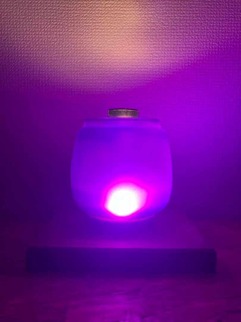 【製作サンプル】デイツ　フュアハンド向けホヤ　パープル（サンドブラストver）