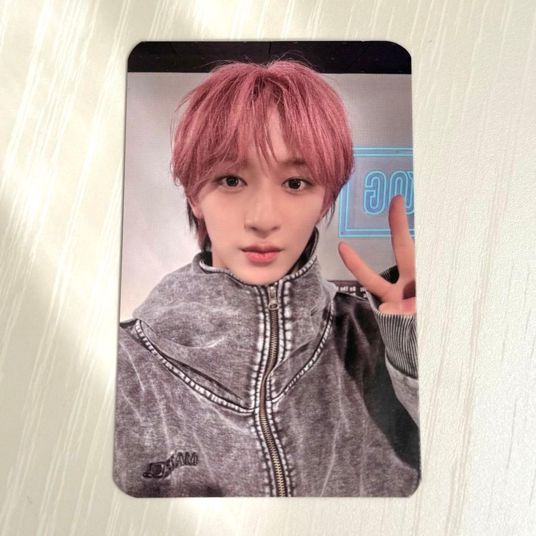 MAZZEL NAOYA ナオヤ コレクトブック セルカ トレカ