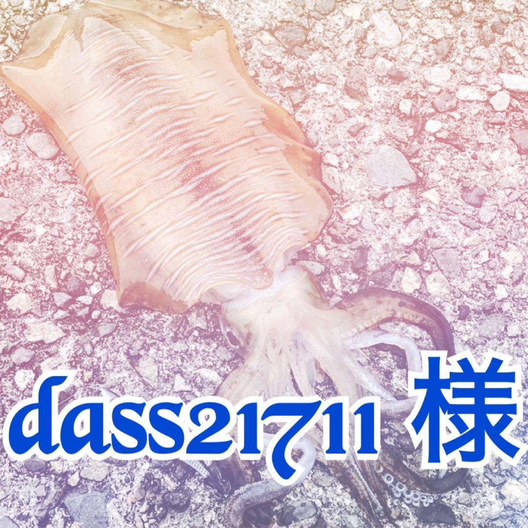 dass21711 様✩︎⡱
