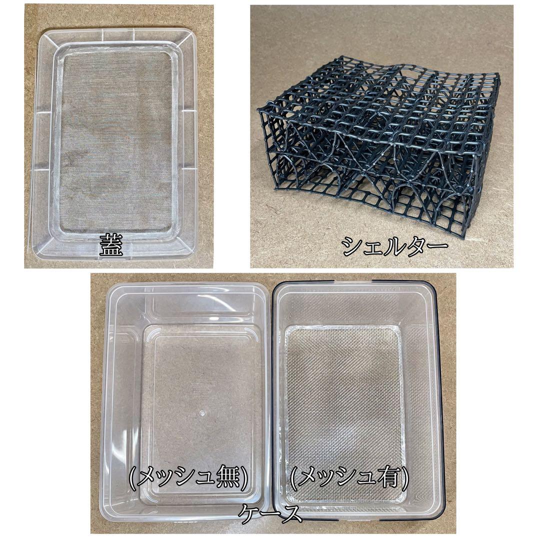 lenon様　S (エ、シェ) 、200g (デュ)