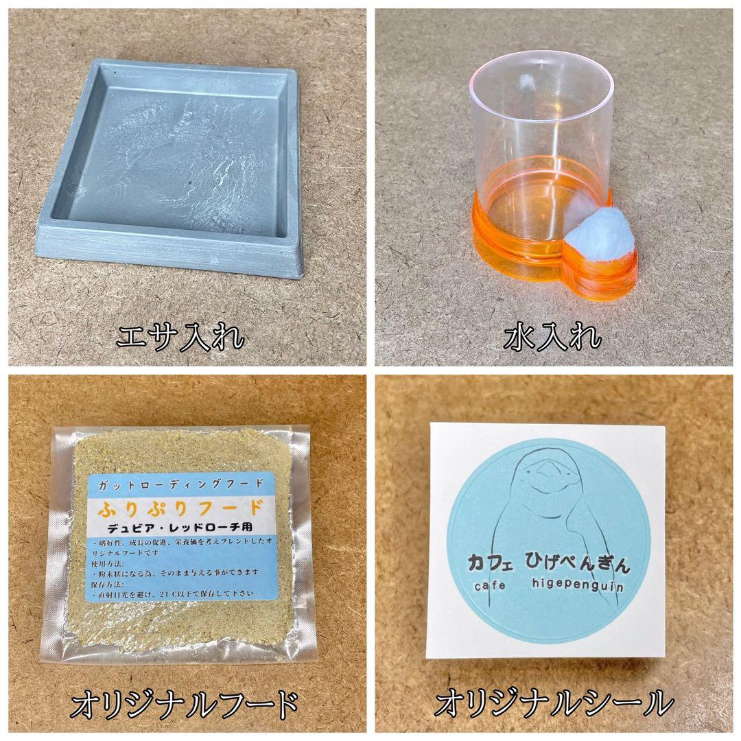 lenon様　S (エ、シェ) 、200g (デュ)