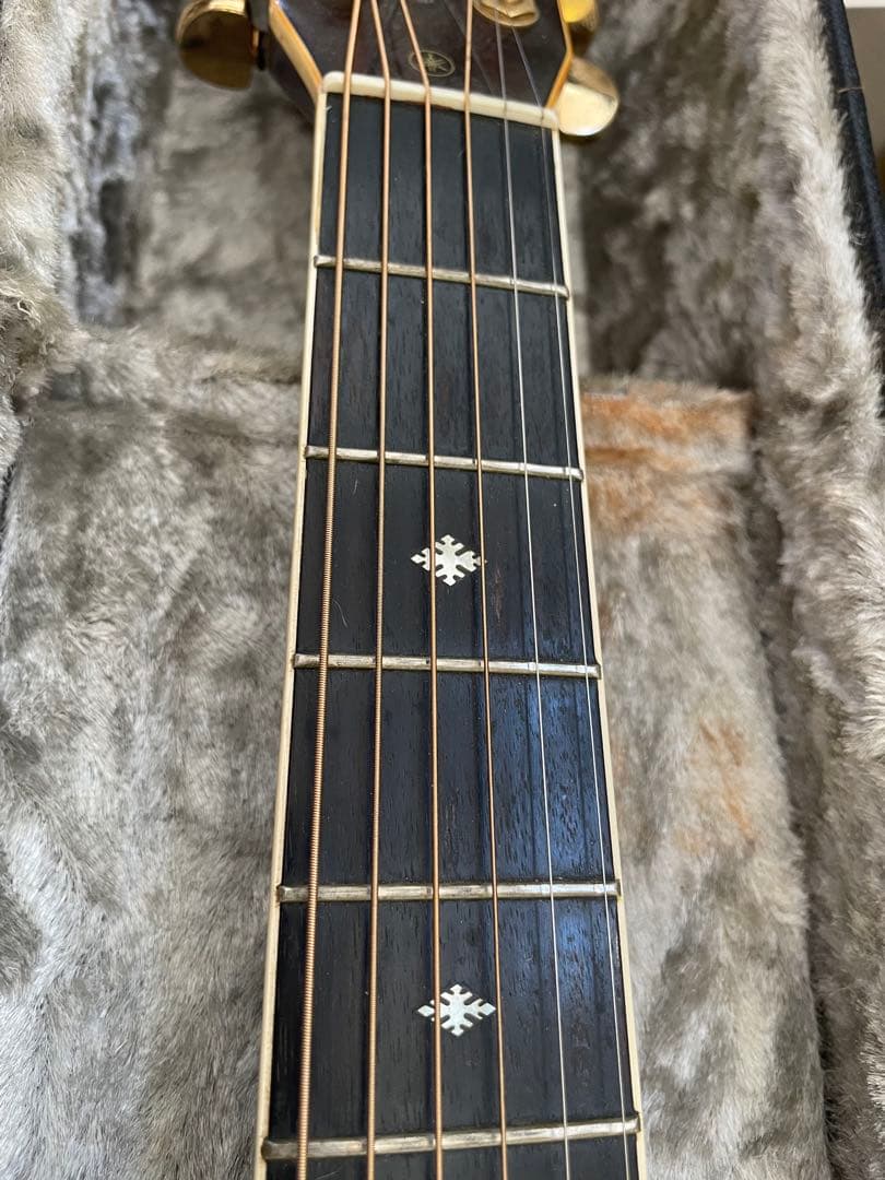 t*i様 YAMAHAギター L−8 後期 ピックアップ・Ｈケース付ワンオ