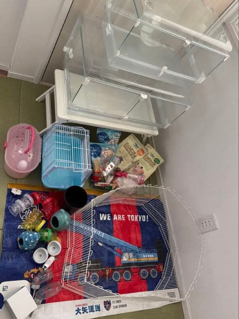 ハムスター２匹すぐ迎えられるセット