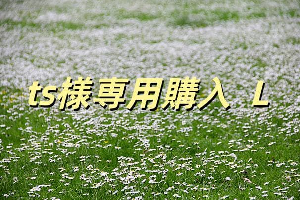 ts購入 L