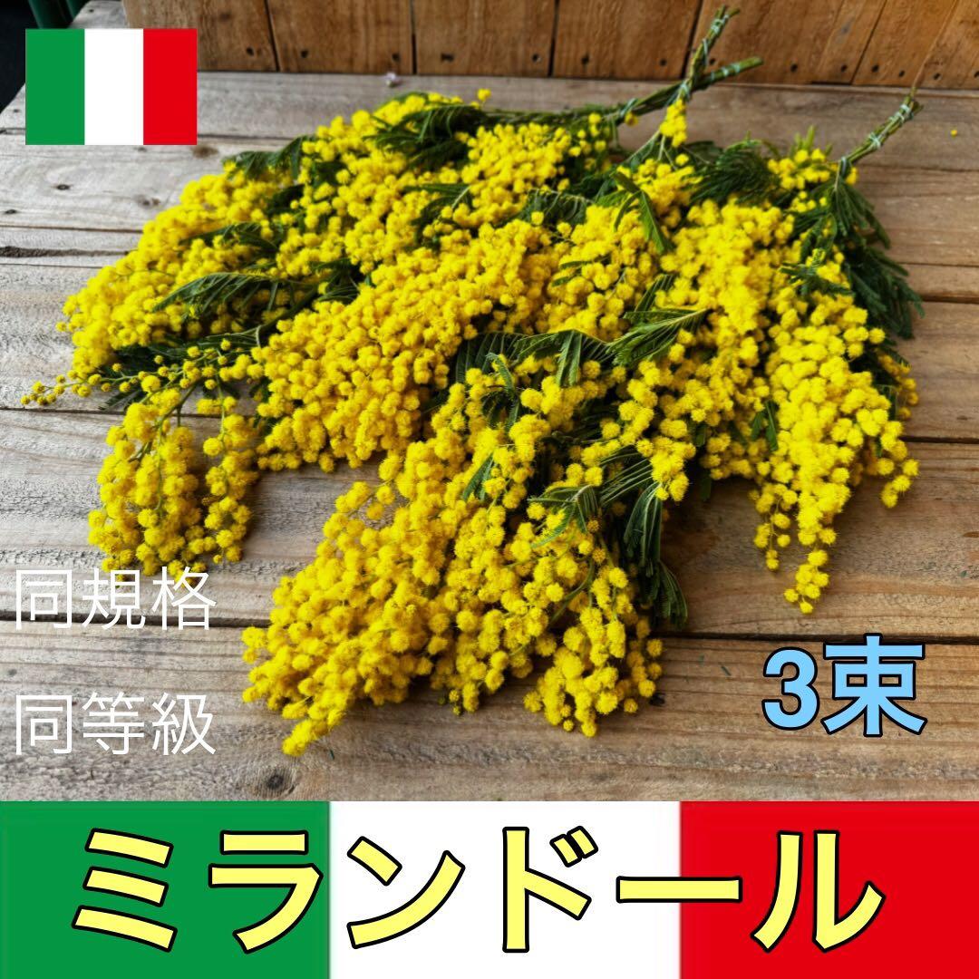 ミントティー様 リクエスト 2点 まとめ商品