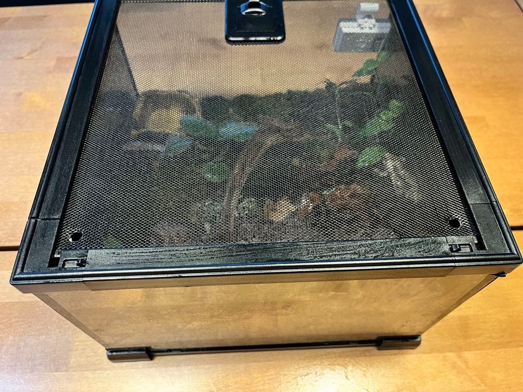 テラリウムケージ 30×30×25cm ヤモリ・イモリ飼育用／自然レイアウト