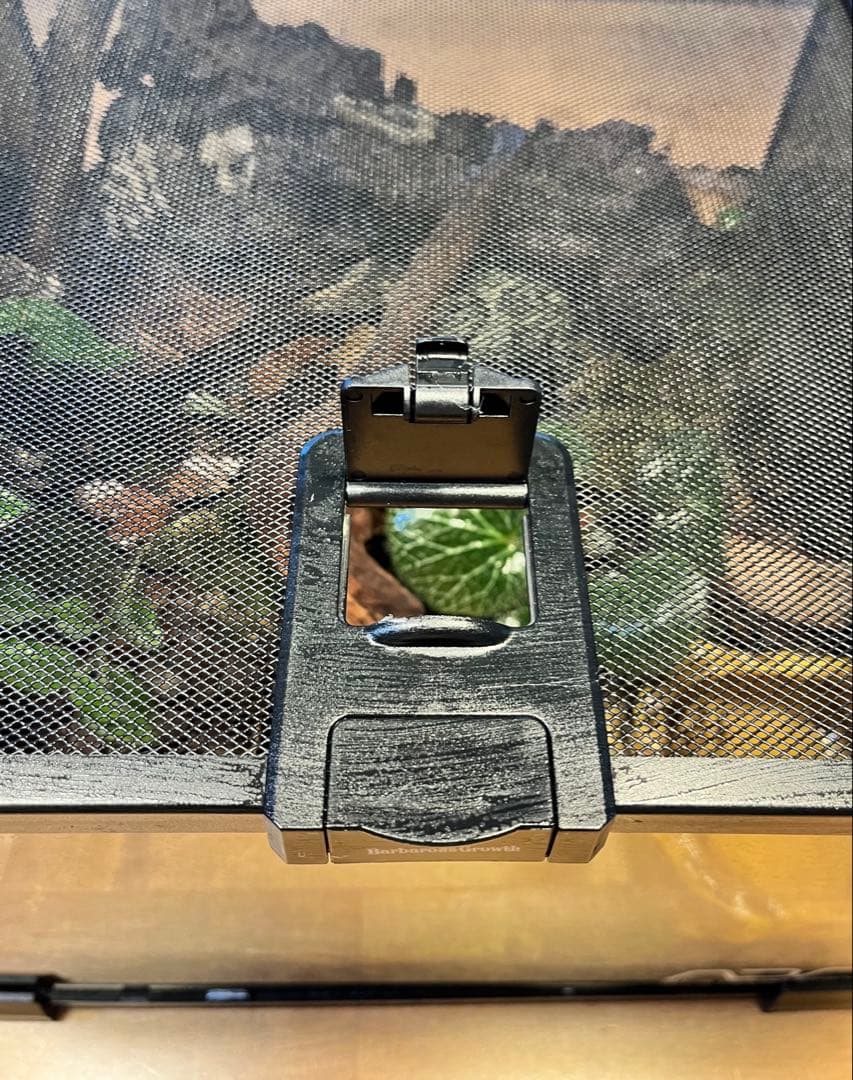 テラリウムケージ 30×30×25cm ヤモリ・イモリ飼育用／自然レイアウト