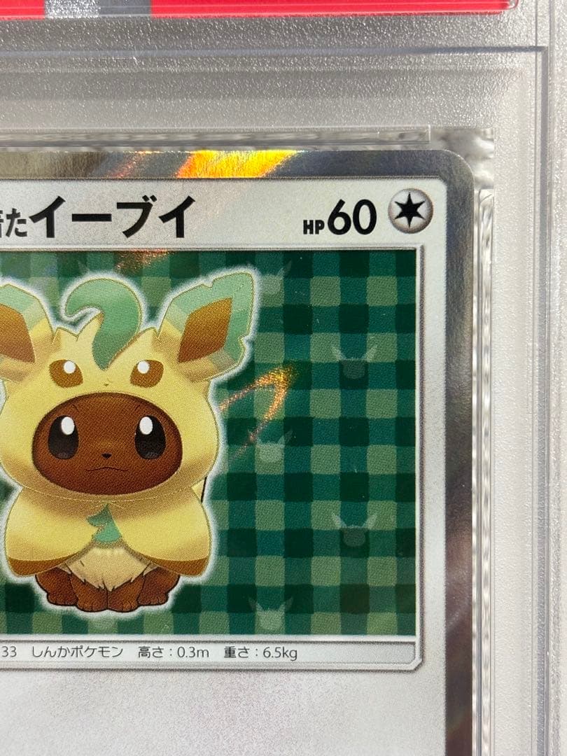 ●早い者勝ち●ポンチョを着たイーブイ　リーフィア　PSA9 ポケモンカード