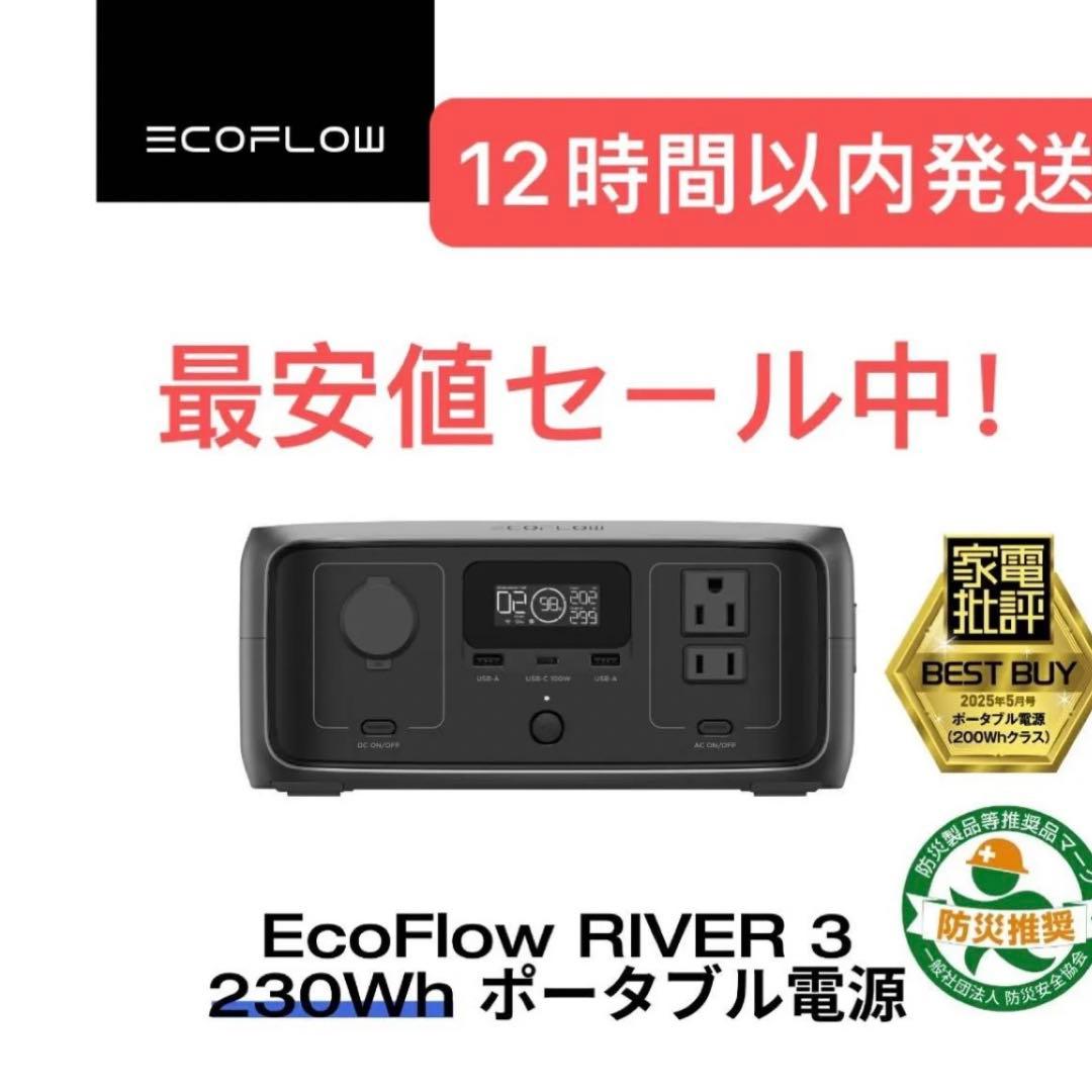 EcoFlowポータブル電源 3 230Whリン酸鉄リチウムUPS機能