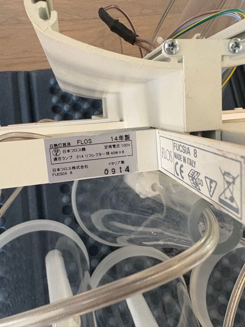 おてもと様　FLOS（フロス）「FUCSIA 8」　値下げ