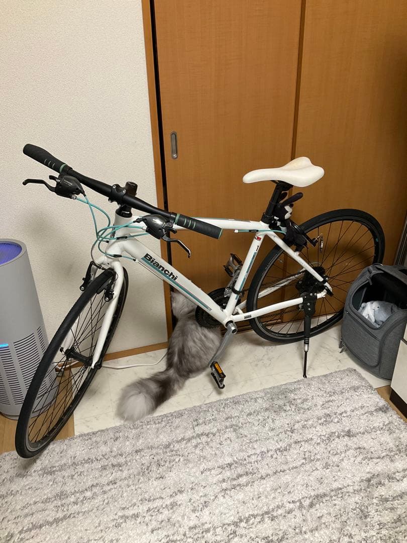 Bianchi c-sport クロスバイク カメレオンテ ビアンキ