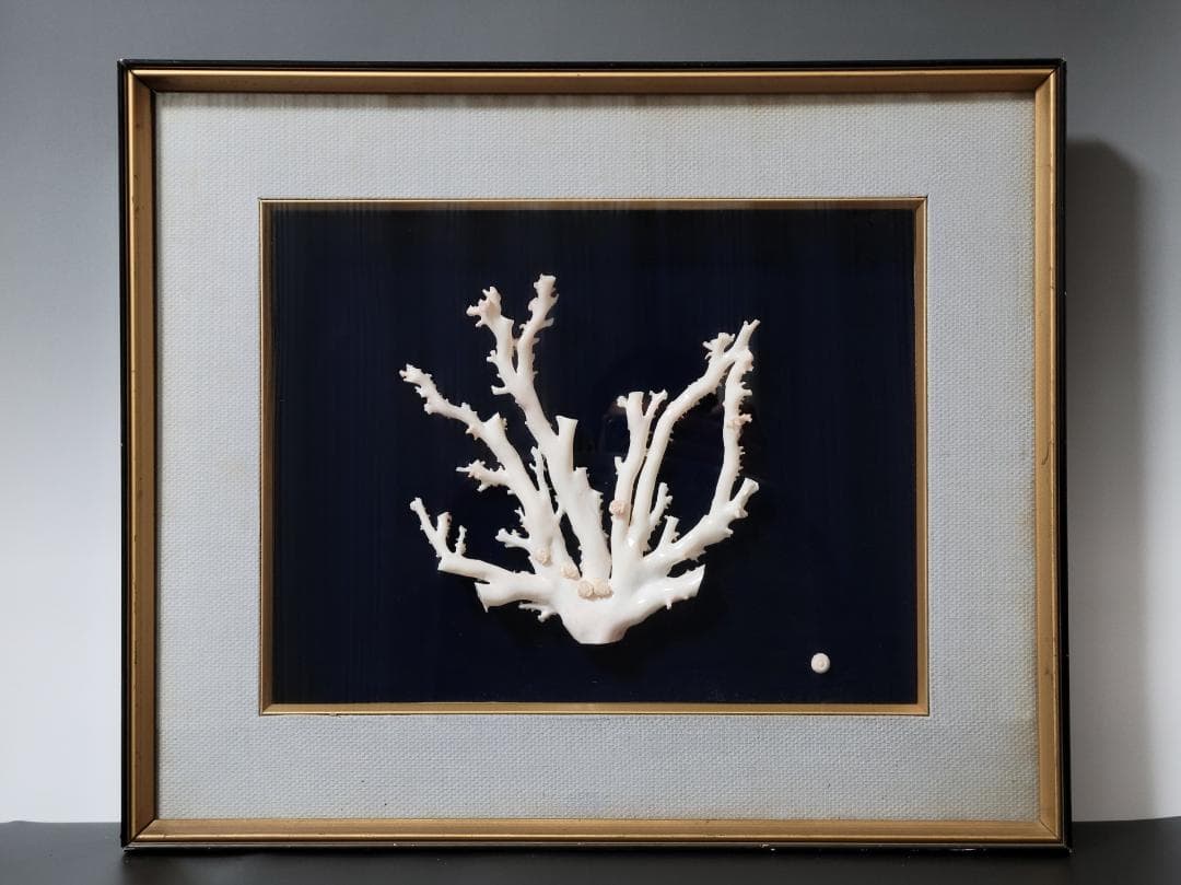 天然希少材料 彫刻 額装 壁飾 置物 横幅約55.8cm