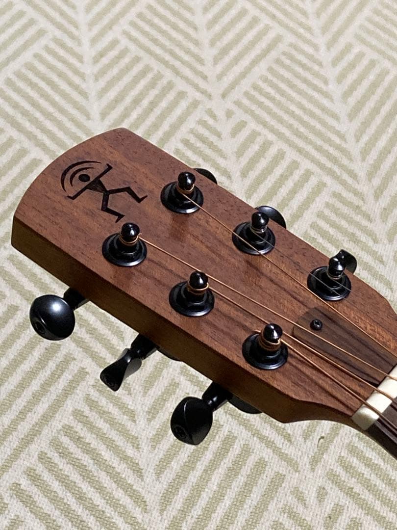 aNueNue Bird M1 アコースティックギター