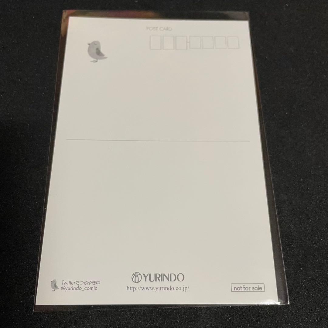 聖闘士星矢 セインティア翔［7巻］有隣堂特典 ポストカード 非売品