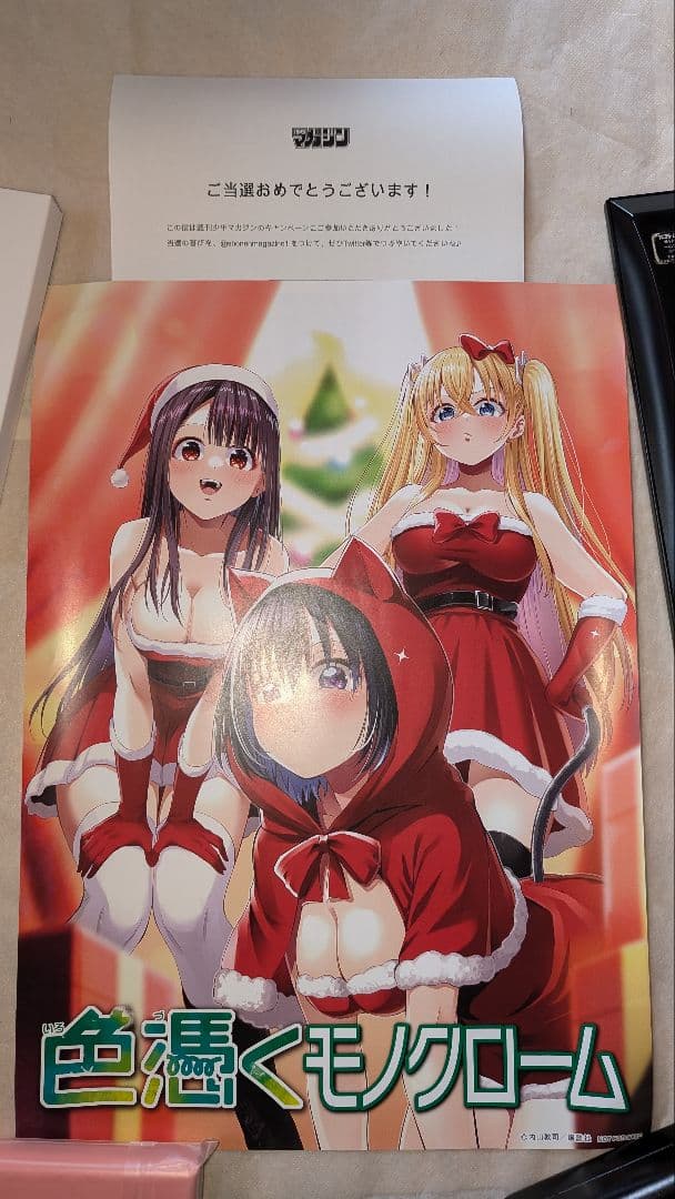 【３名枠非売品　新品未使用】色憑くモノクローム ポスター