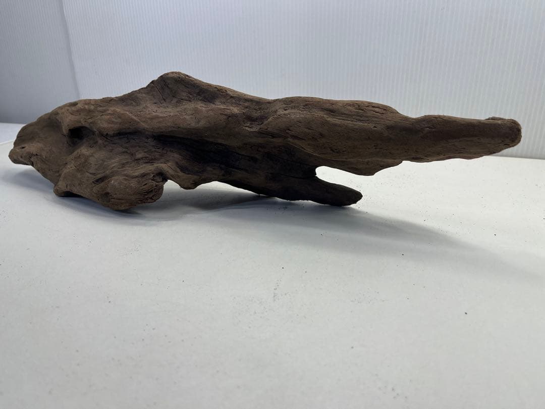 k42アク抜き済み流木 爬虫類シェルター レイアウト用 インテリア エアプランツ