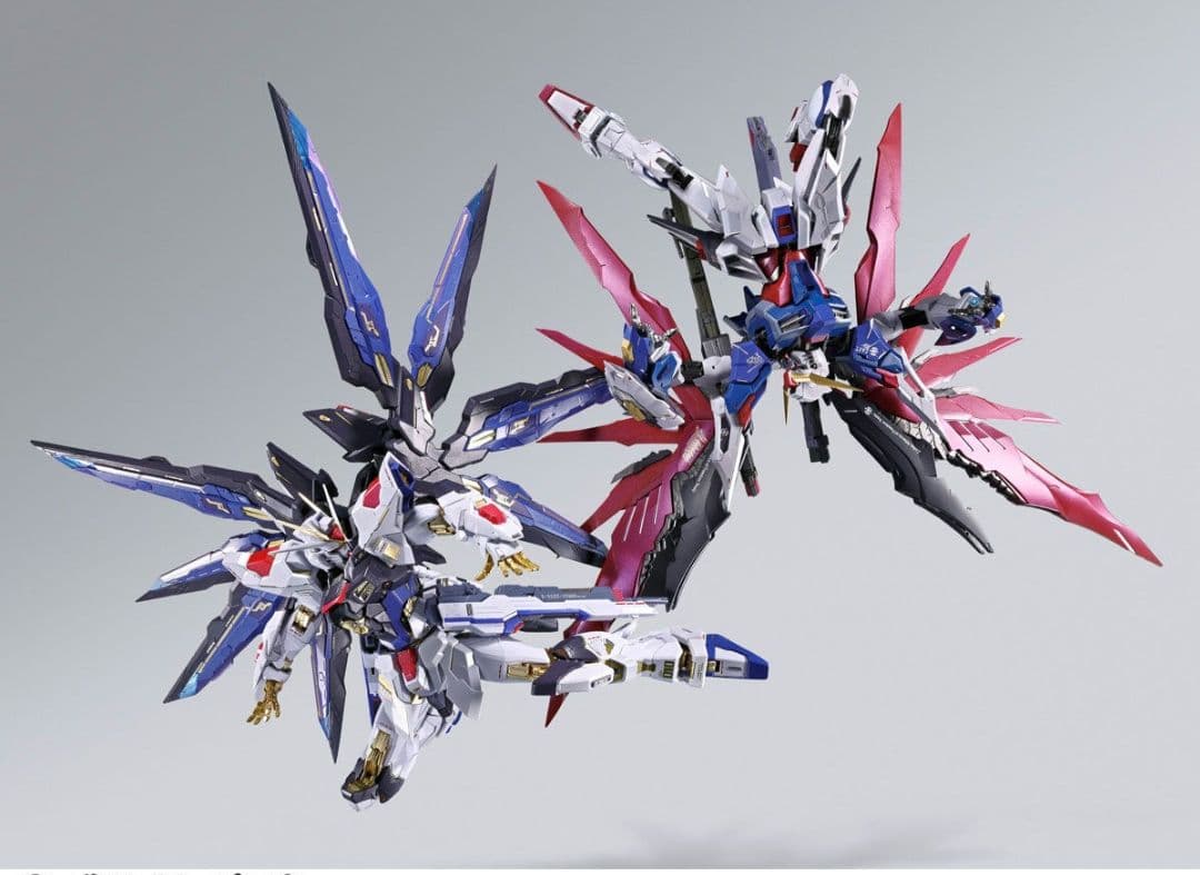 【新品未開封】L BUILD デスティニー フルパッケージ 2024