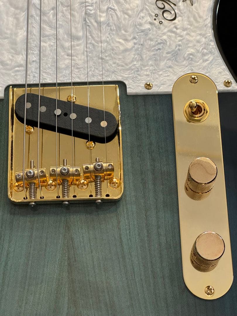 ギター momose MT-HYUGAZAKURA SP 25 E DBL-VGR