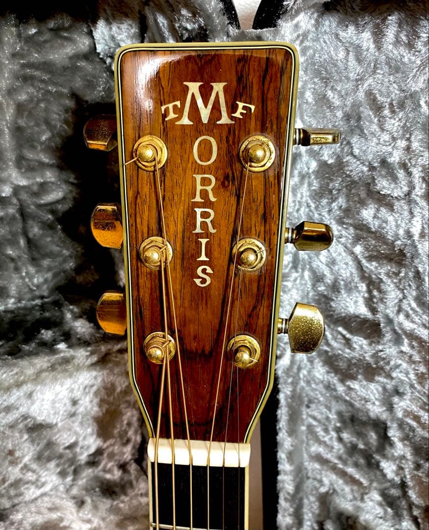 Morris アコースティックギター TF50スプルース単板ハカランダHC付