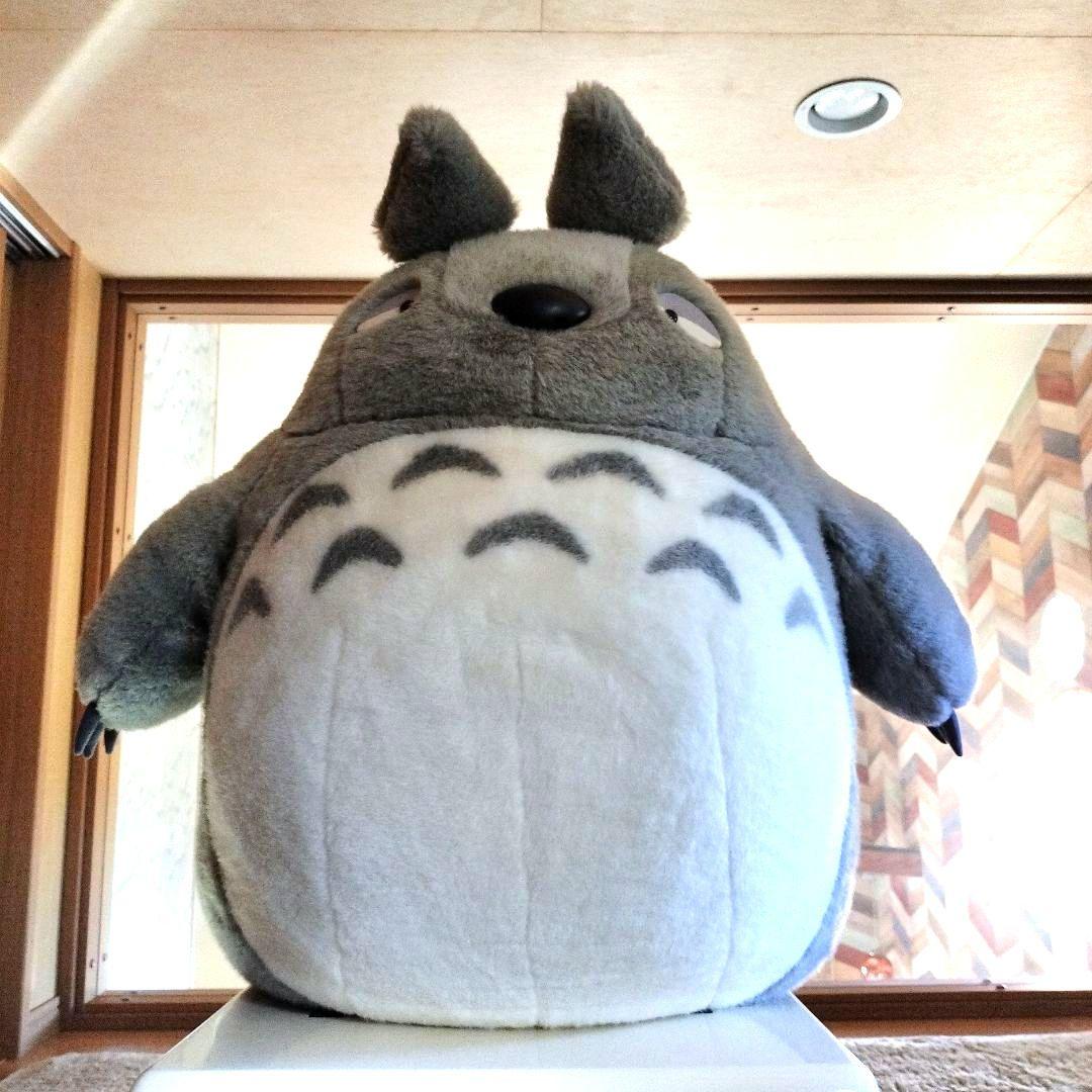 専用になります