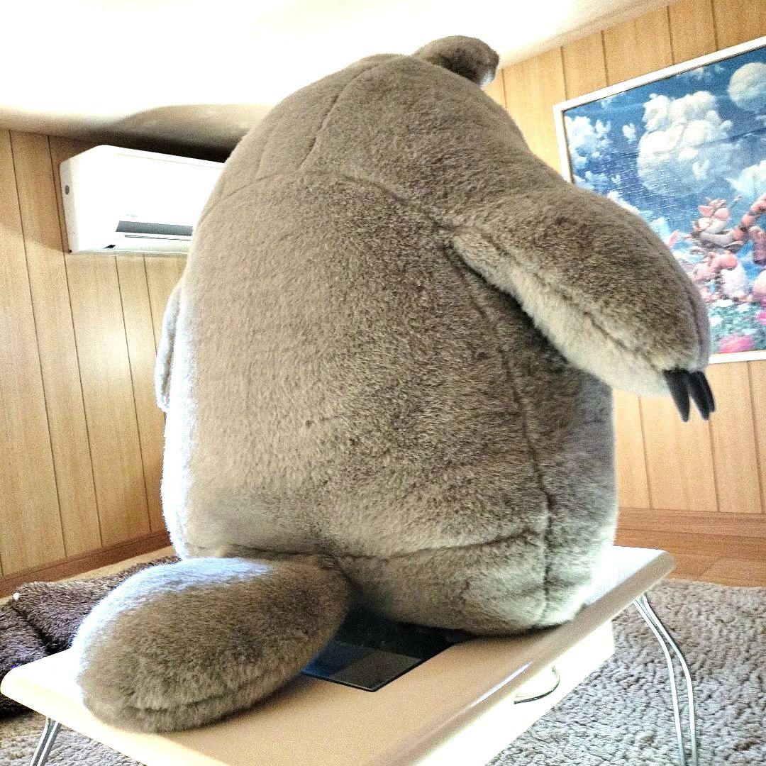 専用になります