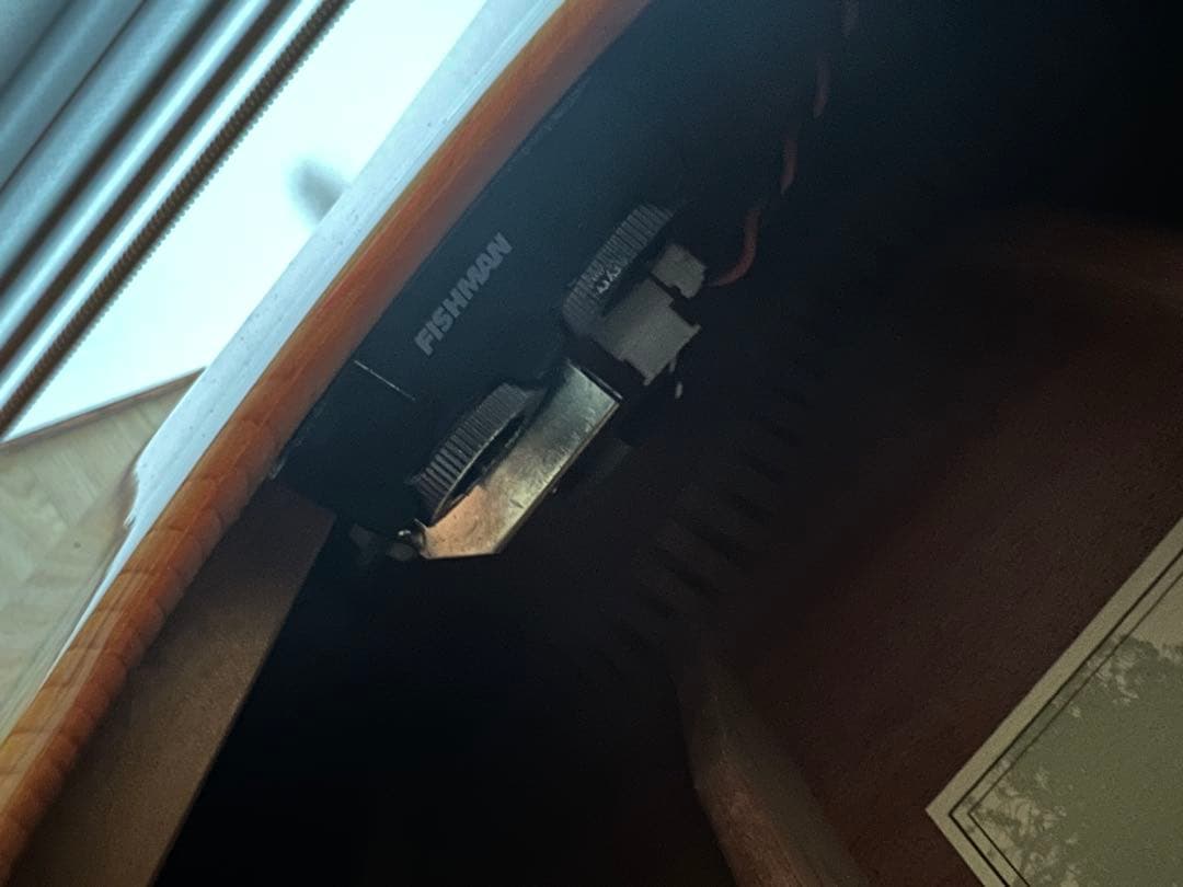 James オール単板 エレアコ　j-800a