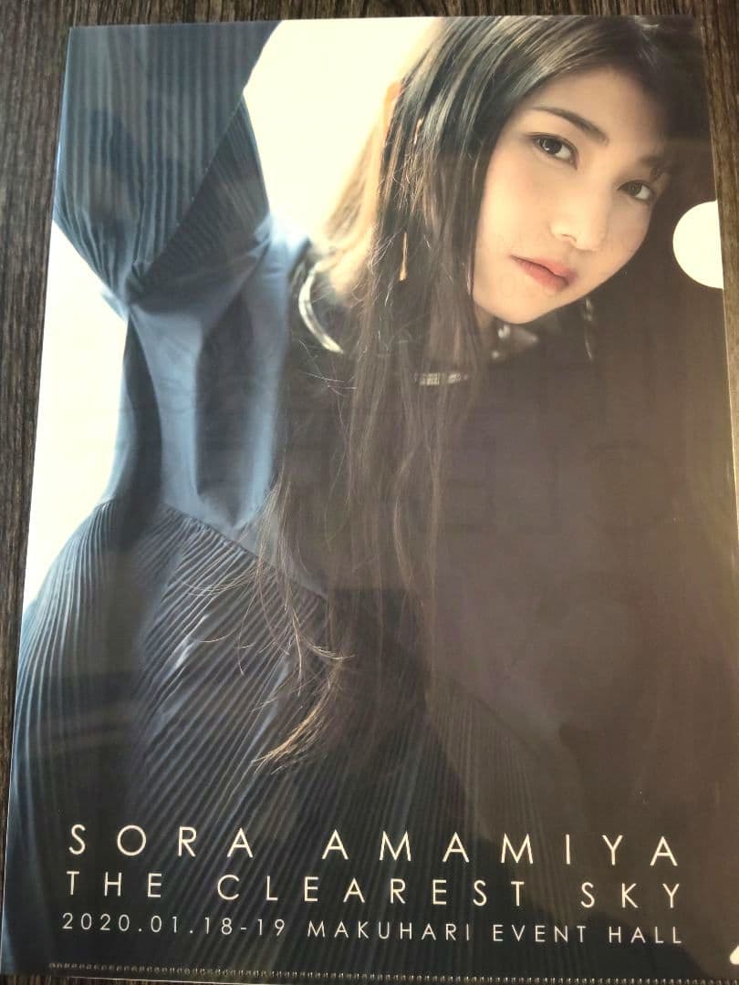 雨宮天 クリアファイル23枚セット