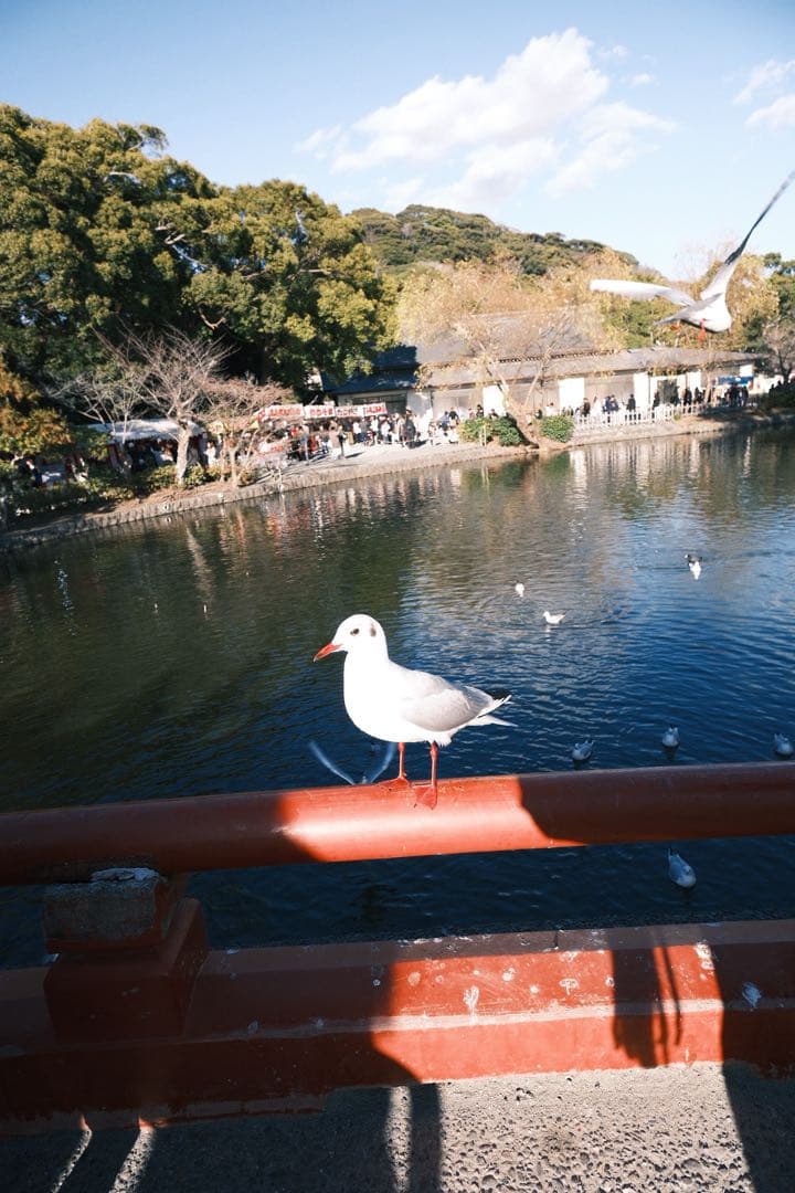 FUJIFILM X-M5 フラッシュ無し