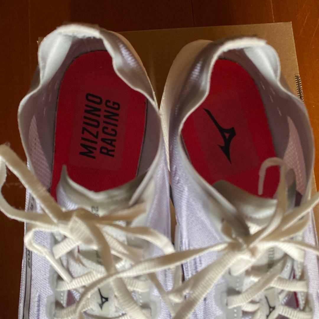 Mizuno WAVE REBELLION PRO 2 26.5cmプレート入り